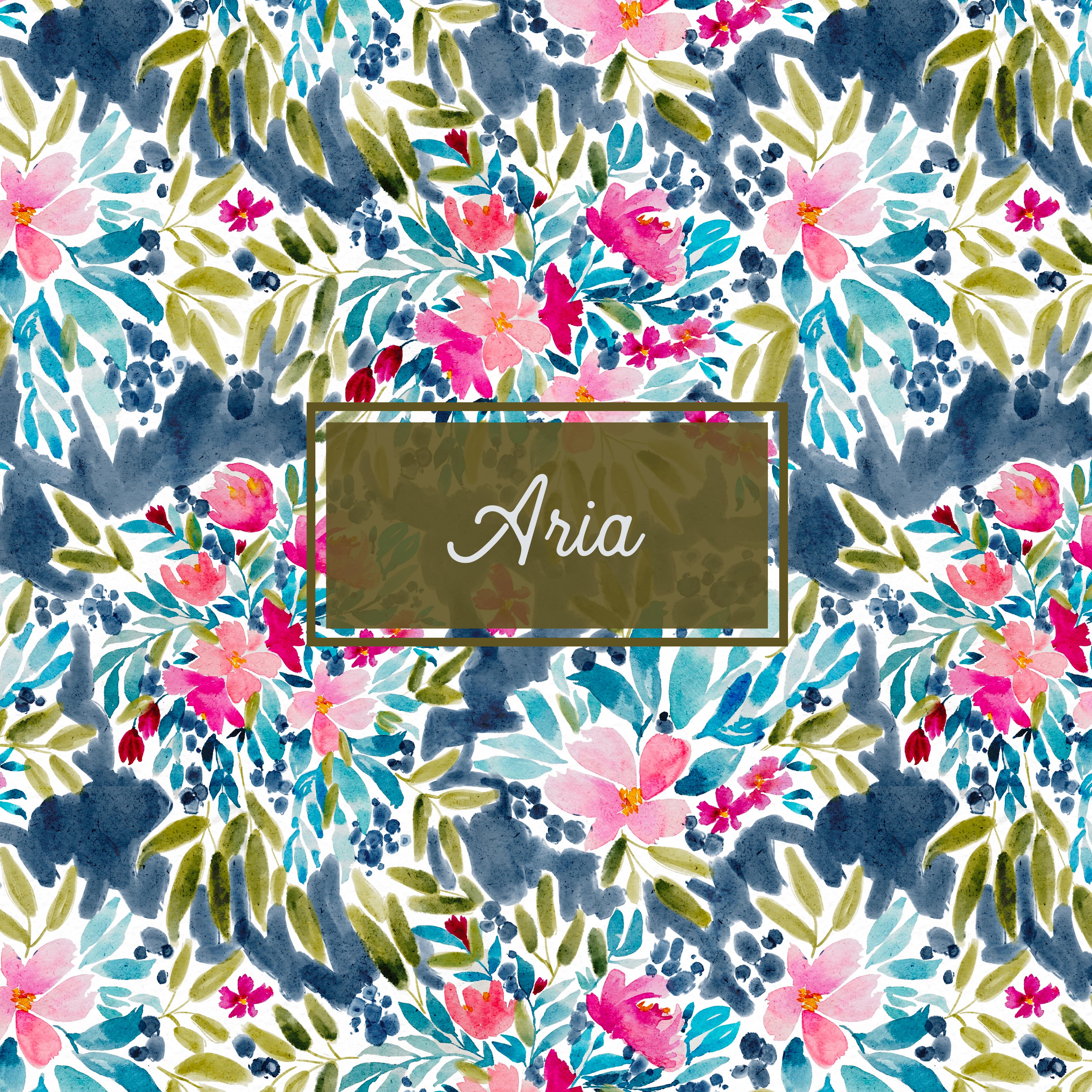 Aria