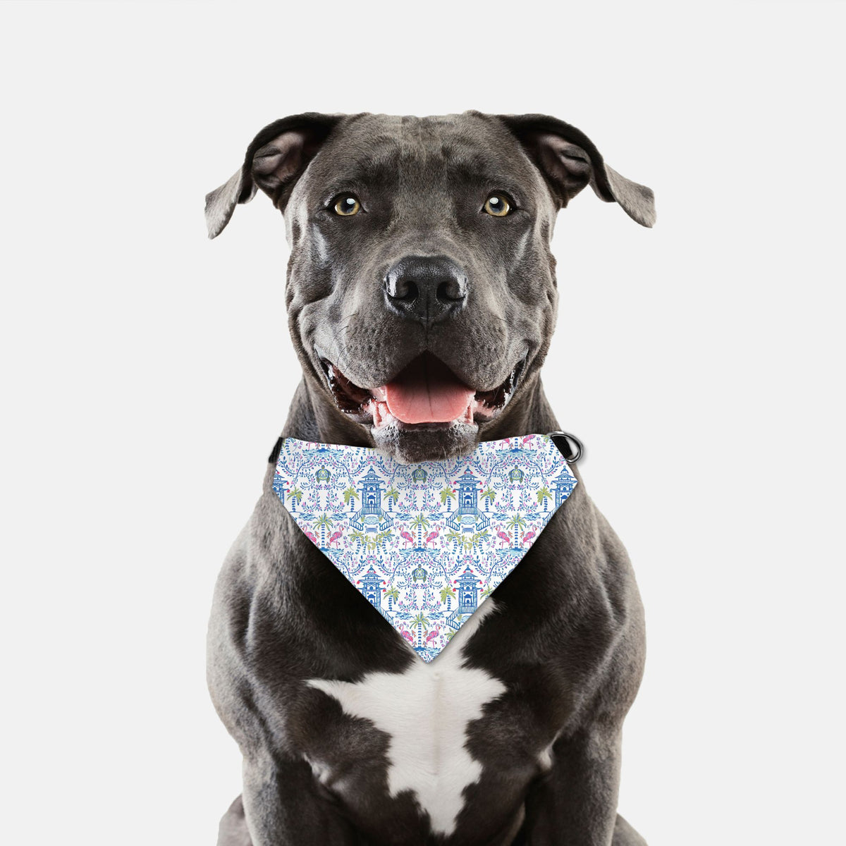 Colorful Coastal Chinoiserie Pet Bandana Collar