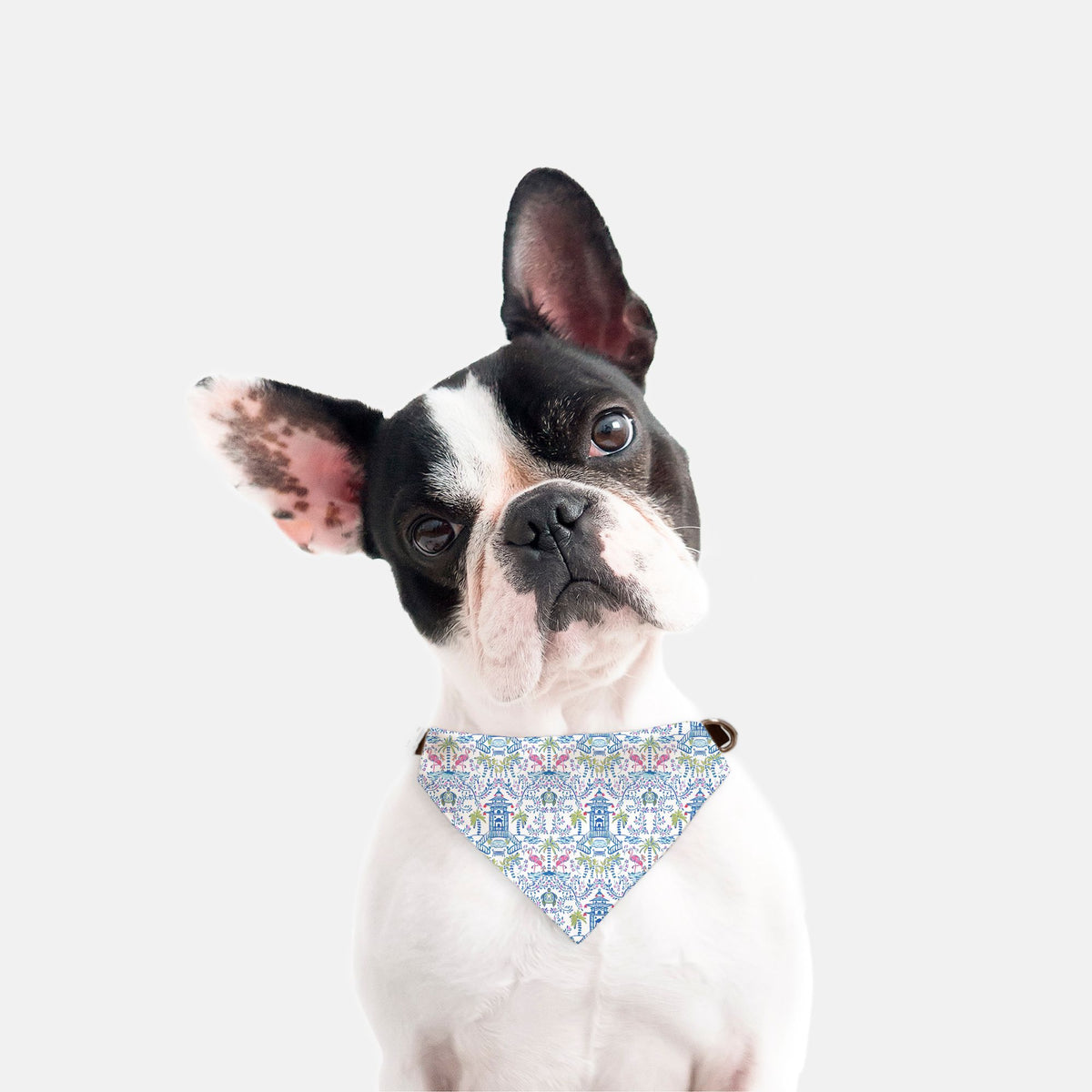 Colorful Coastal Chinoiserie Pet Bandana Collar